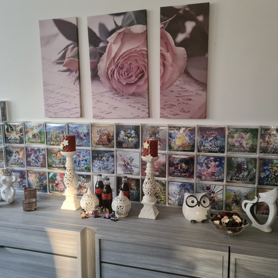 Japanese Acrylic Case Pokemon